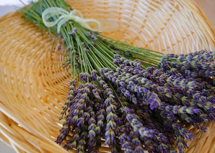 Eler Casa de Férias *